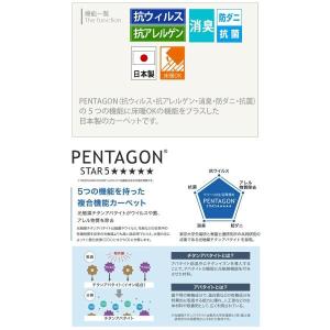 ルナ (Y) カーペット 生地サンプルの詳細画像2