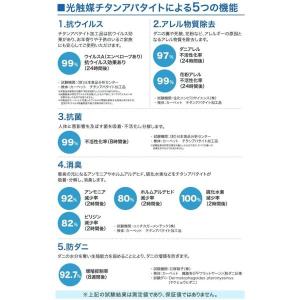 ルナ (Y) カーペット 生地サンプルの詳細画像3