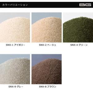 生地サンプル カーペット スミトロン ニューサ...の詳細画像1