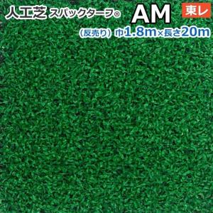 生地サンプル スパックターフ 人工芝 レギュラーシリーズ AM (Ry) 東レ