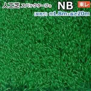 生地サンプル スパックターフ 人工芝 レギュラーシリーズ NB (Ry) 東レ