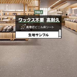 東リ 長尺シート (R) マチュアNW 生地サンプル 札幌軟石 FS4253 お試し商品 サンプル