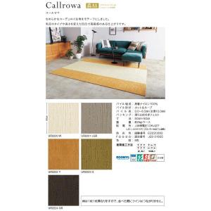 生地サンプル ユニットラグ コールロワ (KS)の詳細画像1