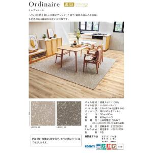 生地サンプル ユニットラグ オルディネール (KS)の詳細画像1
