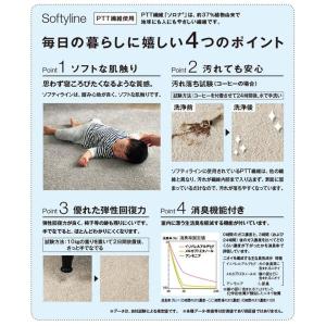生地サンプル ユニットラグ ソフティライン (KS)の詳細画像3
