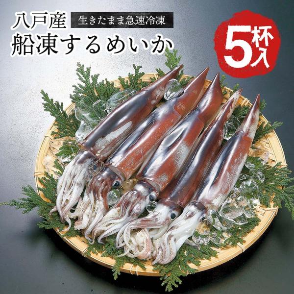 八戸産 船凍するめいか 5杯入 (約1.3kg〜1.5kg) 冷凍いか 船凍いか 真いか 冷凍 お刺...