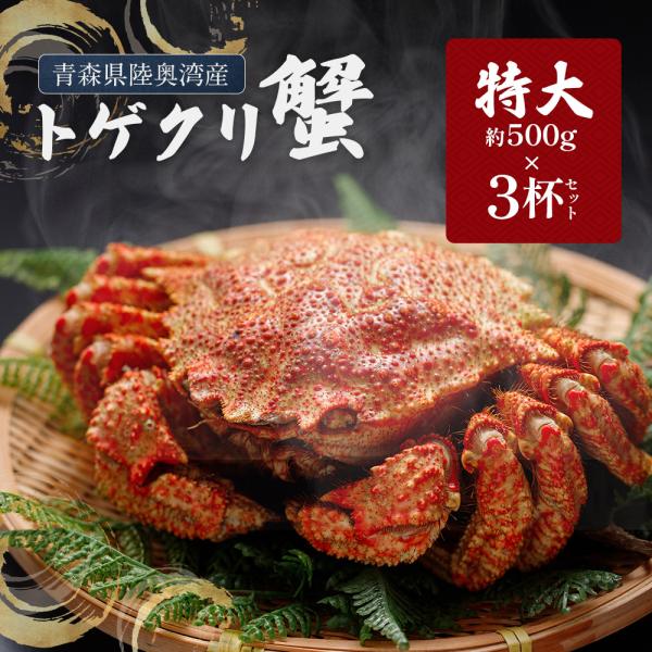 特大 トゲクリガニ 3杯セット 約1.5kg (約500g×ボイル済み オス3杯) 送料無料 【冷凍...