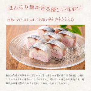 鯖の梅酢棒寿司 250g 冷凍寿司 さば寿司 ...の詳細画像2