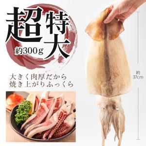 超特大 国産 真イカ一夜干し 約300g×1枚...の詳細画像2