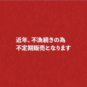 超特大 国産 真イカ一夜干し 約300g×1枚...の詳細画像5