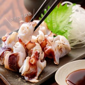お刺身 いか軟骨 500g するめいか マツイ...の詳細画像2