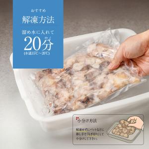 お刺身 いか軟骨 500g するめいか マツイ...の詳細画像3