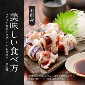 お刺身 いか軟骨 500g するめいか マツイ...の詳細画像4
