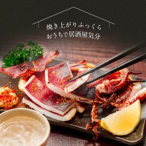 国産 真いか一夜干し 2枚入 約400g 甘塩...の詳細画像1