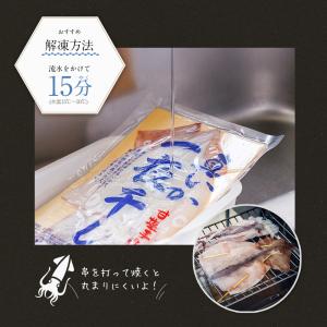 国産 真いか一夜干し 2枚入 約400g 甘塩...の詳細画像4