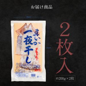 国産 真いか一夜干し 2枚入 約400g 甘塩...の詳細画像5