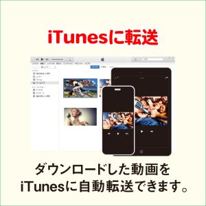 動画 ダウンロード 保存7の詳細画像4