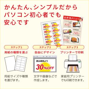 ささっとチラシ販促物作成 ECOパッケージ版の詳細画像1