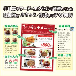 ささっとチラシ販促物作成 ECOパッケージ版の詳細画像2