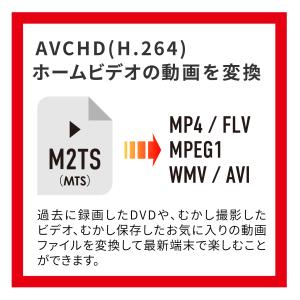 ビデオ動画変換+結合 ECOパッケージ版の詳細画像2