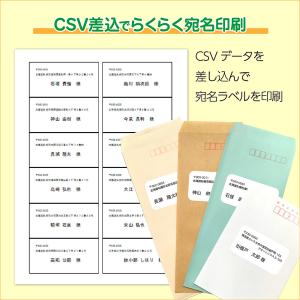 パソコンでらくらくラベル作成印刷 スマートパッ...の詳細画像4