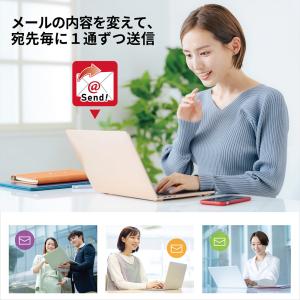 ささっと同報配信メール2 カード版の詳細画像2