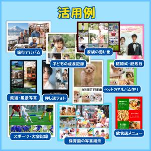 フォトピタ カード版の詳細画像3