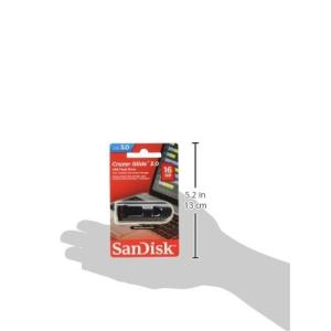 送料無料 SanDisk サンディスク 16G...の詳細画像1