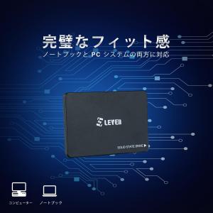 メール便送料無料 LEVEN 内蔵SSD 2....の詳細画像3