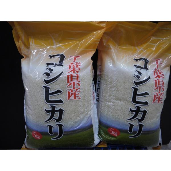 新米7年産千葉県産コシヒカリ10kg 送料無料（5kgが2袋） 　北海道・九州は800円　北東北・関...