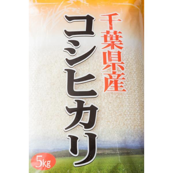 新米7年産　千葉県産コシヒカリ5kg　（北海道沖縄を除き合計5500円以上で送料無料）