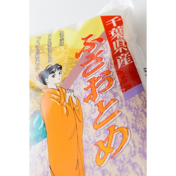 新米7年産　千葉県産ふさおとめ10kg 送料無料 ５kgが2袋）　北海道・九州は800円　北東北・関...