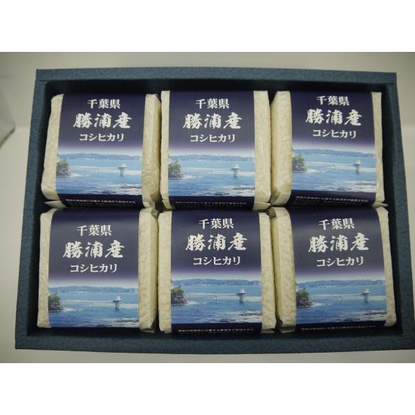 お米　7年産千葉県産コシヒカリ2合（300ｇ）真空パック6個入