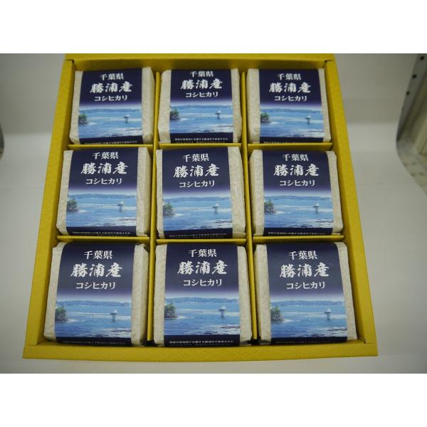 お米　7年産千葉県産コシヒカリ2合（300g）真空パック9個入