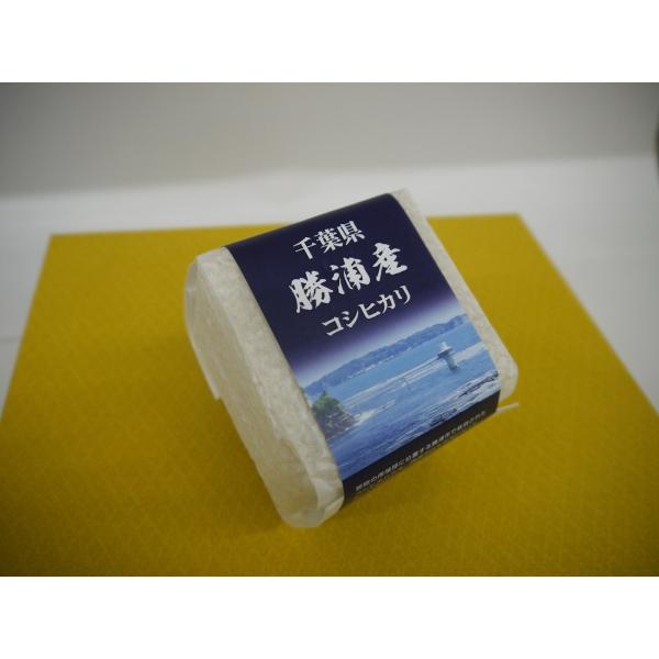 お米　7年産千葉県勝浦産コシヒカリ2合（300g）真空パック1個