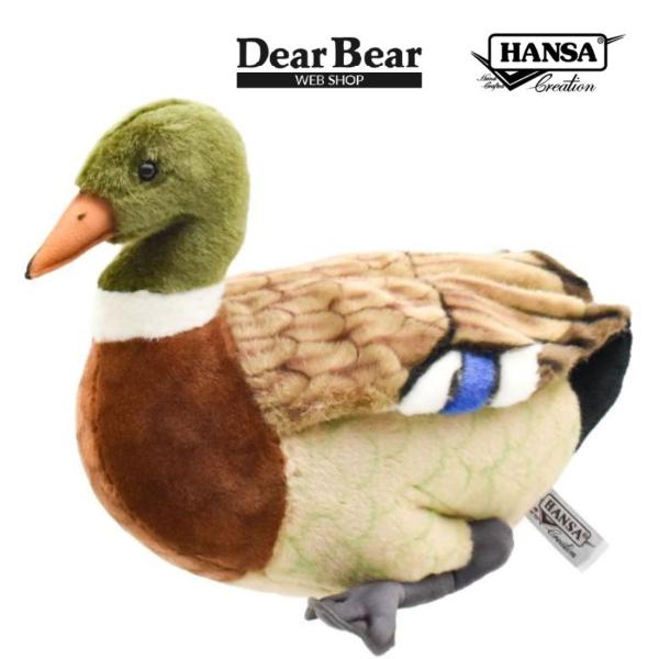 BH3601 マガモ HANSA　まがも 真鴨 とり トリ 鳥 ぬいぐるみ リアル