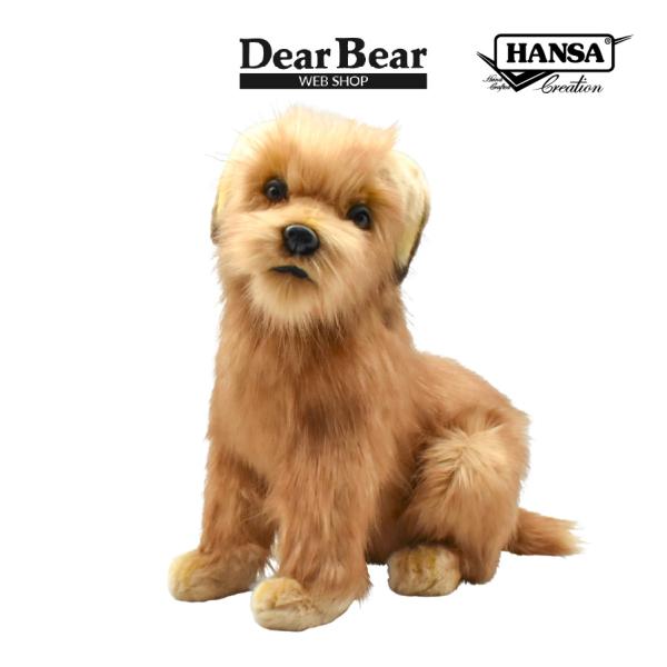 BH3996 ノーフォークテリア 仔 HANSA　のーふぉーくてりあ いぬ イヌ 犬 こども 子供 ...