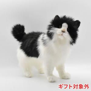 HANSA BH5012 ペルシャネコ ぺるしゃねこ 猫 ぬいぐるみ リアル : Dear