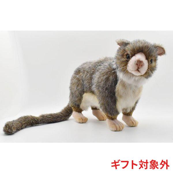 BH4372 ブラッシュテイルポッサム HANSA　ぶらっしゅているおぽっさむ ぬいぐるみ リアル ...