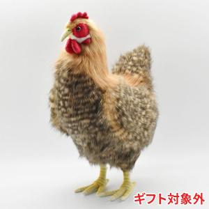 HANSA 5621 シマメンドリ 26 ISLANDER HEN にわとり ぬいぐるみ