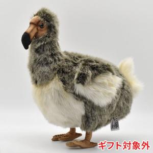 BH5028 ドードー HANSA　どーどー とり トリ 鳥 絶滅 ぜつめつ ぬいぐるみ リアル おもちゃ 置物｜dearbear