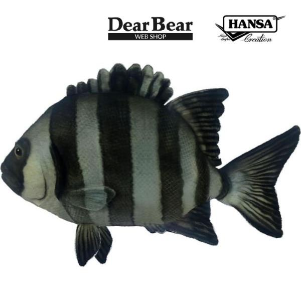 BH8513 イシダイ  HANSA　いしだい 石鯛 ぬいぐるみ リアル 新作