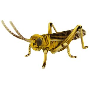 HANSA BH8523 タガメ たがめ ぬいぐるみ リアル 新作 爆買 母の日
