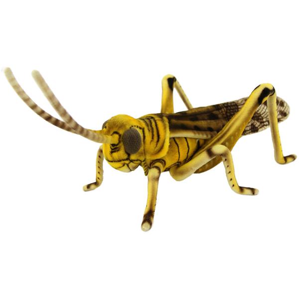 BH8578 サバクトビバッタ  HANSA　さばくとびばった 砂漠飛蝗 ぬいぐるみ リアル 新作