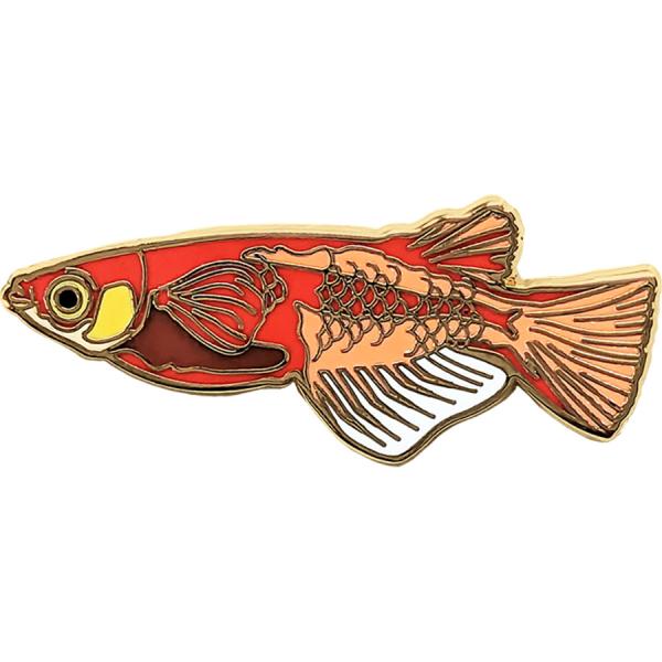 ピンズ ヨウキヒメダカ 動物 ピンバッジ ブローチ めだか 魚 プレゼント アニマルフレンズ