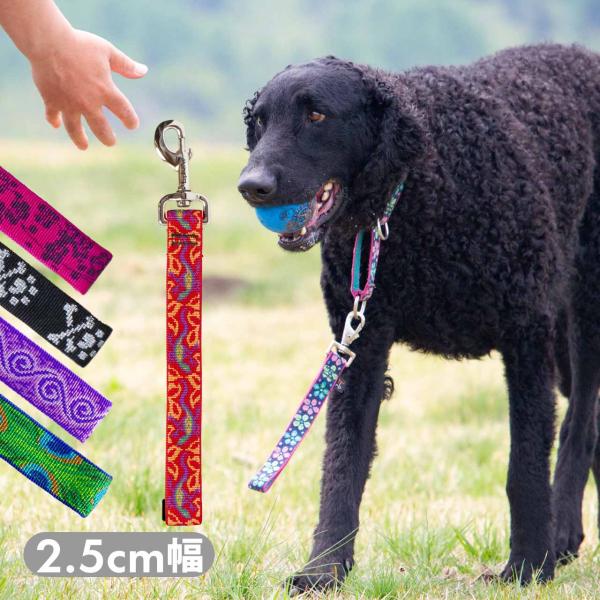 Lupine ルパイン トレーニングタブ 2.5cm幅 大型犬 ショートリード 長さ30cm トレー...