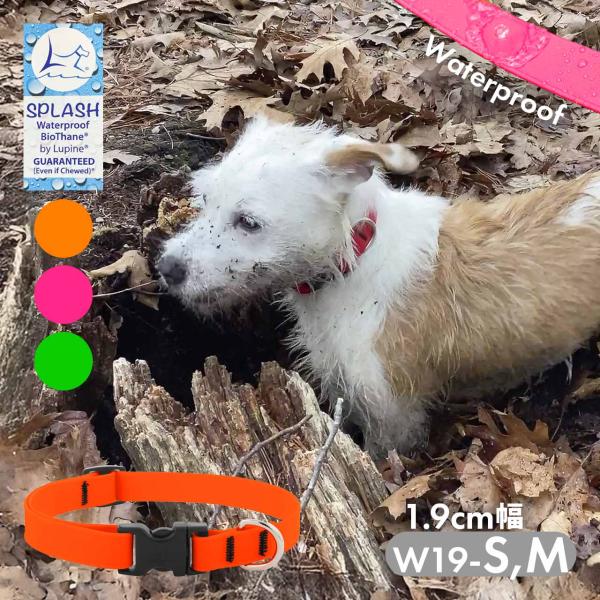 小型犬 首輪 防水 ワンタッチ ルパイン スプラッシュ アジャスタブルカラー 1.9cm幅 W19-...