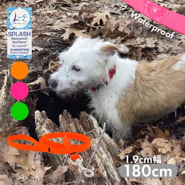 小型犬 中型犬 リード 防水 180cm ルパイン スプラッシュ リード 1.9cm幅 アメリカ製 ...