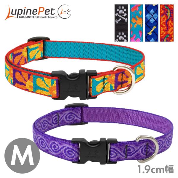 Lupine ルパイン アジャスタブルカラー 1.9cm幅 M 中型犬 首輪 ワンタッチ バックル ...