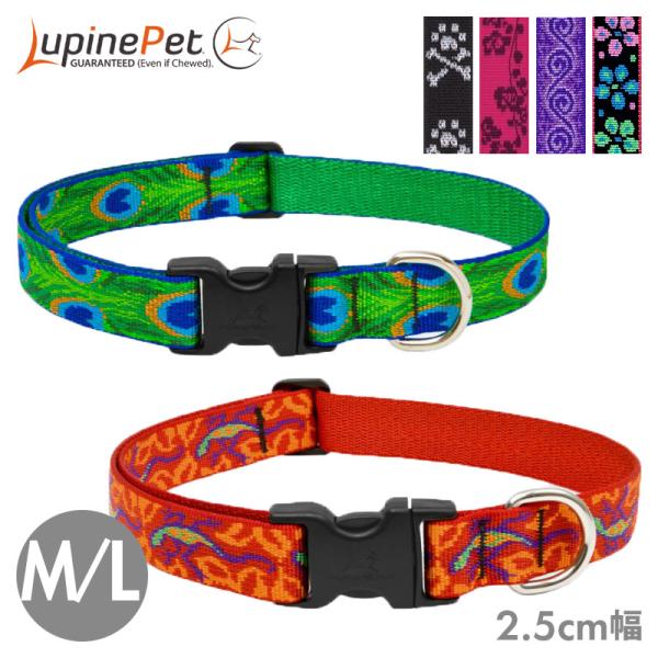 Lupine ルパイン アジャスタブルカラー 2.5cm幅 M/L 大型犬 首輪 ワンタッチ バック...